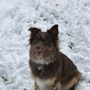 Meet your Posher, Nadia